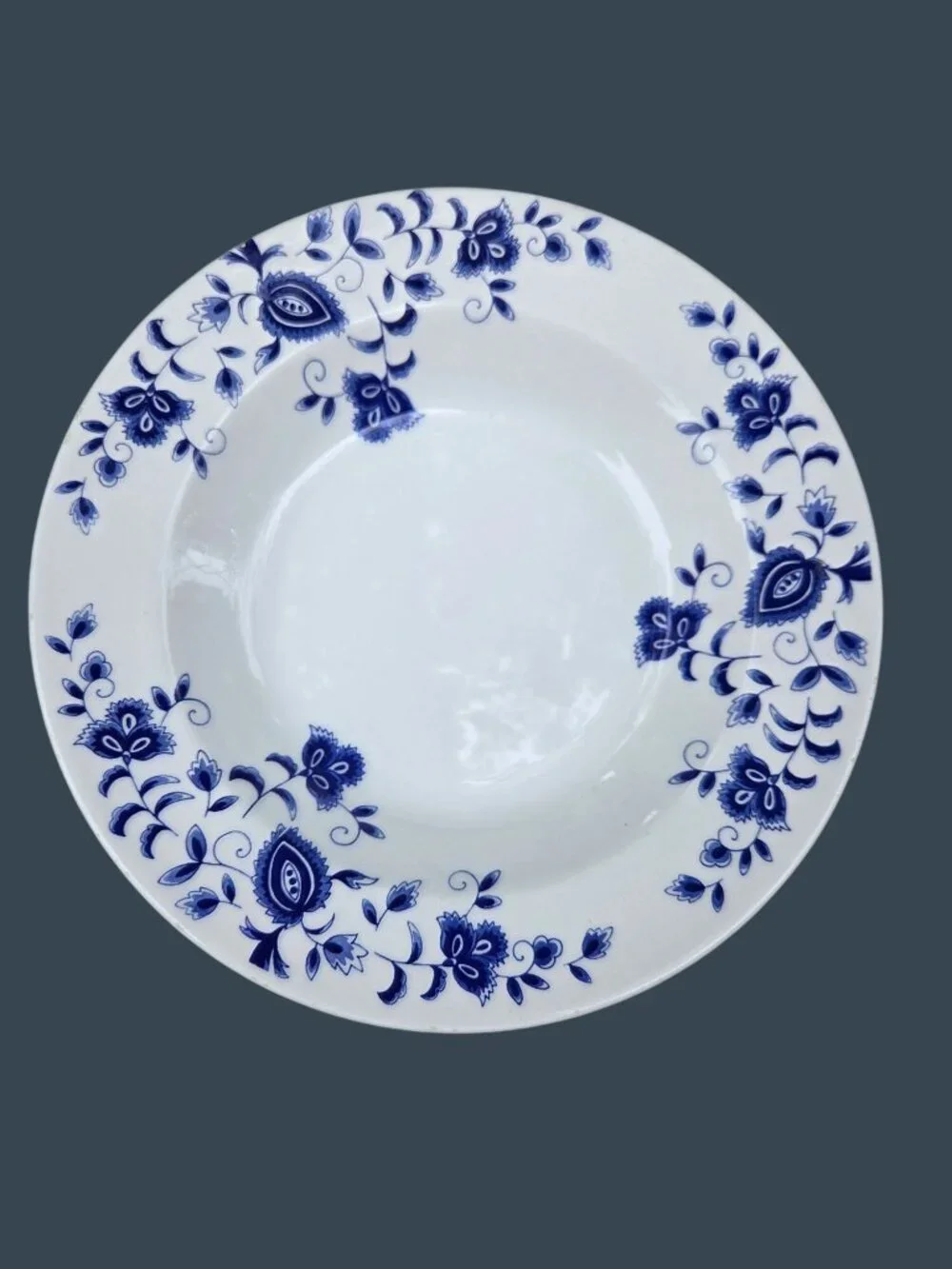 2 Pier 1 Eliza Blue & White Floral Rimmed Soup Bowls Earthenware Made In Italy R